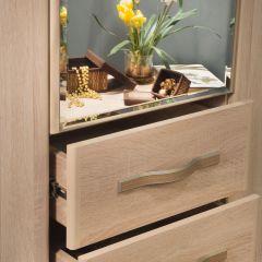 ДИАНА Д11 Шкаф для одежды в Миассе - miass.mebel24.online | фото 5