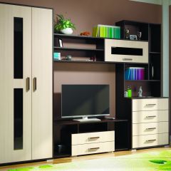 Гостиная ЕВРОПА-1 (Венге/Дуб молочный) в Миассе - miass.mebel24.online | фото