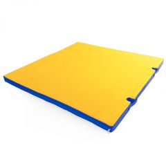 Мат гимнастический 1х1х0,05м с вырезом под стойки цв. синий-желтый в Миассе - miass.mebel24.online | фото