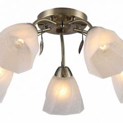 Потолочная люстра Rivoli Olivia Б0052693 в Миассе - miass.mebel24.online | фото