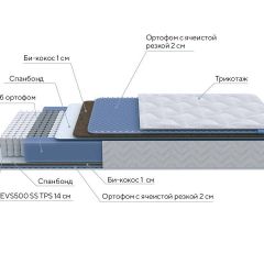 PROxSON Матрас Active Comfort M (Ткань Трикотаж Эко) 160x200 в Миассе - miass.mebel24.online | фото 6