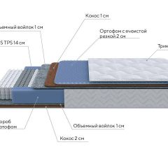 PROxSON Матрас Active Duo M/F (Ткань Трикотаж Эко) 160x195 в Миассе - miass.mebel24.online | фото 7