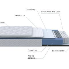 PROxSON Матрас Active Duo S/F (Ткань Трикотаж Эко) 140x195 в Миассе - miass.mebel24.online | фото 6