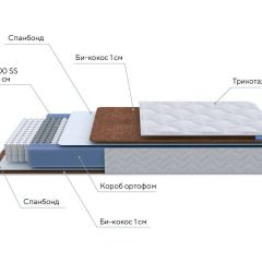 PROxSON Матрас Active F Roll (Ткань Трикотаж Эко) 160x200 в Миассе - miass.mebel24.online | фото 7