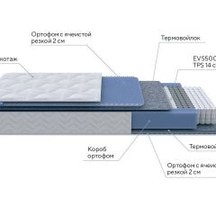 PROxSON Матрас Active M Roll (Ткань Трикотаж Эко) 140x200 в Миассе - miass.mebel24.online | фото 7