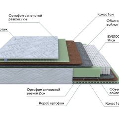 PROxSON Матрас Green M (Tricotage Dream) 160x190 в Миассе - miass.mebel24.online | фото 7