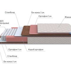 PROxSON Матрас Standart Plus M Roll (Ткань Жаккард) 160x200 в Миассе - miass.mebel24.online | фото 7