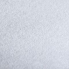 PROxSON Защитный чехол Aqua Save S (Ткань влагостойкая Terry Cloth) 160x190 в Миассе - miass.mebel24.online | фото 4