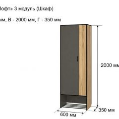 ОЛЬГА-ЛОФТ 3 Шкаф 2-х створчатый в Миассе - miass.mebel24.online | фото 4