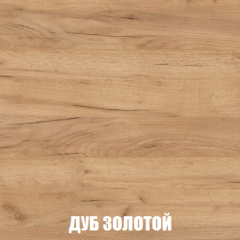Шкаф 3-х створчатый МСП-1 (Дуб Золотой/Камень темный) в Миассе - miass.mebel24.online | фото 4