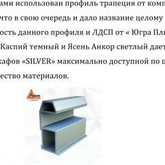 Шкаф-купе 1300 серии SILVER S1+S1+B2+PL2 (2 ящика+1 штанга+1 полка) профиль «Серебро» в Миассе - miass.mebel24.online | фото 4