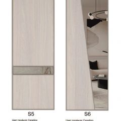 Шкаф-купе 1300 серии SILVER S1+S1+B2+PL2 (2 ящика+1 штанга+1 полка) профиль «Серебро» в Миассе - miass.mebel24.online | фото 11