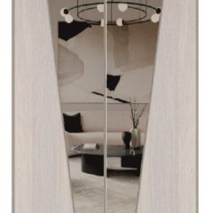 Шкаф-купе 1300 серии SILVER S1+S1+B2+PL2 (2 ящика+1 штанга+1 полка) профиль «Серебро» в Миассе - miass.mebel24.online | фото 12