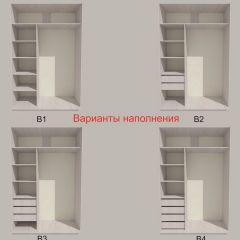 Шкаф-купе 1300 серии SILVER S1+S1+B2+PL2 (2 ящика+1 штанга+1 полка) профиль «Серебро» в Миассе - miass.mebel24.online | фото 5