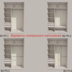 Шкаф-купе 1300 серии SILVER S1+S1+B2+PL2 (2 ящика+1 штанга+1 полка) профиль «Серебро» в Миассе - miass.mebel24.online | фото 6
