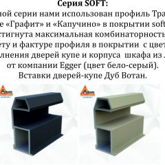 Шкаф-купе 1600 серии SOFT D6+D4+B2+PL2 (2 ящика+1штанга+1 полка) профиль «Капучино» в Миассе - miass.mebel24.online | фото 13