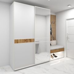 Шкаф-купе 1600 серии SOFT D6+D4+B2+PL2 (2 ящика+1штанга+1 полка) профиль «Капучино» в Миассе - miass.mebel24.online | фото 5