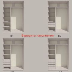 Шкаф-купе 1700 серии SILVER S3+S4+B2+PL4 (2 ящика+F обр.штанга) профиль «Серебро» в Миассе - miass.mebel24.online | фото 5