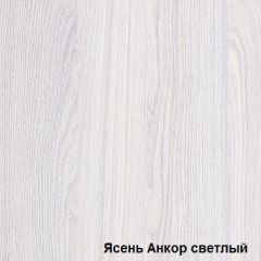 Шкаф-купе №19 Серия 3 Квадро (1500) Ясень Анкор светлый в Миассе - miass.mebel24.online | фото 2