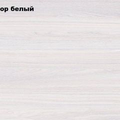 АЛЬЯНС 18 Шкаф-купе + комплект зеркал №4 в Миассе - miass.mebel24.online | фото 4