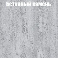 Шкаф-купе Бассо 1.0 (Дуб Крафт серый/Бетонный камень) 2 двери ЛДСП 1 зеркальная вставка в Миассе - miass.mebel24.online | фото 3