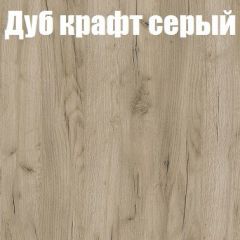 Шкаф-купе Бассо 1.0 (Дуб Крафт серый/Бетонный камень) 2 двери ЛДСП 1 зеркальная вставка в Миассе - miass.mebel24.online | фото 4