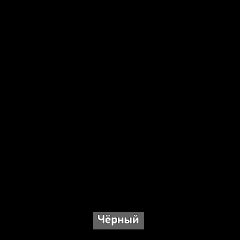 Шкаф купе без зеркала "Ольга-Лофт 10.1" в Миассе - miass.mebel24.online | фото 6