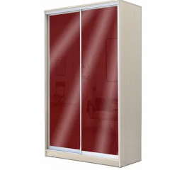 Шкаф-купе ХИТ 22-4-12/2-22 (420) в Миассе - miass.mebel24.online | фото 9
