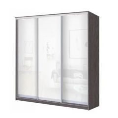 Шкаф-купе ХИТ 22-4-20/2-888 (420) в Миассе - miass.mebel24.online | фото 9