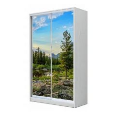 Шкаф-купе ХИТ 23-12-77 (620) в Миассе - miass.mebel24.online | фото