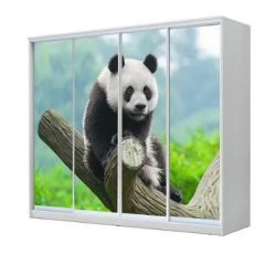 Шкаф-купе ХИТ 23-24/2-7777 (620) в Миассе - miass.mebel24.online | фото