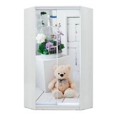 Шкаф-купе ХИТ-У-23-4-77 в Миассе - miass.mebel24.online | фото