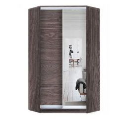 Шкаф-купе ХИТ-У-L-24-64-15 в Миассе - miass.mebel24.online | фото 11