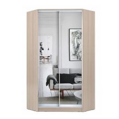Шкаф-купе ХИТ-У-L-24-64-55 в Миассе - miass.mebel24.online | фото 9