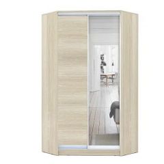 Шкаф-купе ХИТ-У-R-24-64-15 в Миассе - miass.mebel24.online | фото 8