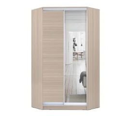 Шкаф-купе ХИТ-У-R-24-64-15 в Миассе - miass.mebel24.online | фото 9