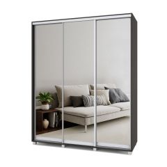 РОЛАНД Шкаф-купе с зеркалами Венге (600*1800) Р683 в Миассе - miass.mebel24.online | фото