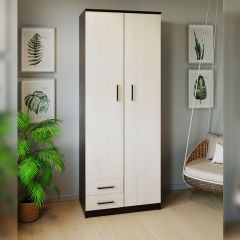 Шкаф распашной ПШ-3.9 в Миассе - miass.mebel24.online | фото 3