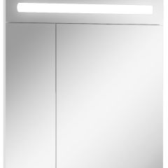 Шкаф-зеркало Аврора 65 с подсветкой LED Домино (DV8006HZ) в Миассе - miass.mebel24.online | фото