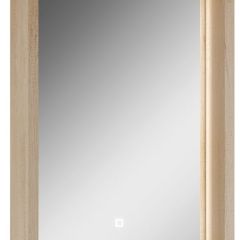 Шкаф-зеркало Nice 45 с подсветкой Домино (DN4704HZ) в Миассе - miass.mebel24.online | фото 1