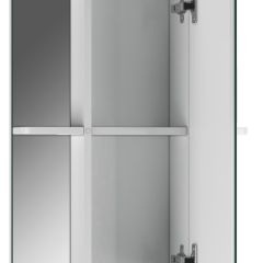 Шкаф-зеркало Норма 2-50 правый АЙСБЕРГ (DA1608HZ) в Миассе - miass.mebel24.online | фото 2