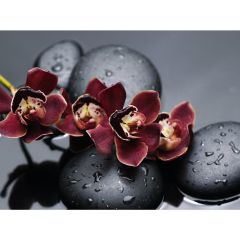 Стол обеденный Бостон Ст101.1 орхидеи в Миассе - miass.mebel24.online | фото 3