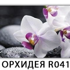 Стол раздвижной Бриз лайм R156 Орхидея R041 в Миассе - miass.mebel24.online | фото 33