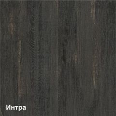 Трувор Шкаф 13.204.01 в Миассе - miass.mebel24.online | фото 3