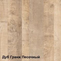 Трувор Шкаф 13.204.01 в Миассе - miass.mebel24.online | фото 4