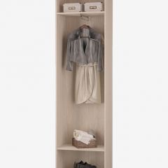 ВЕРОНА-ПР Шкаф для одежды (с выдвижной штангой) в Миассе - miass.mebel24.online | фото 2
