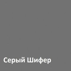 Юнона Шкаф торцевой 13.221 в Миассе - miass.mebel24.online | фото 2