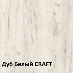 Юнона Шкаф торцевой 13.221 в Миассе - miass.mebel24.online | фото 3