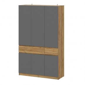 АВИНЬОН Прихожая Шкаф 3-х створчатый с ящиками в Миассе - miass.mebel24.online | фото