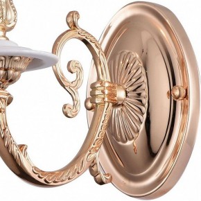 Бра Arte Lamp 8020 A8020AP-1WG в Миассе - miass.mebel24.online | фото 4